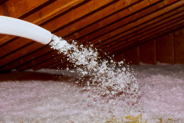 Best Specialty Insulation in Oldsmar, FL